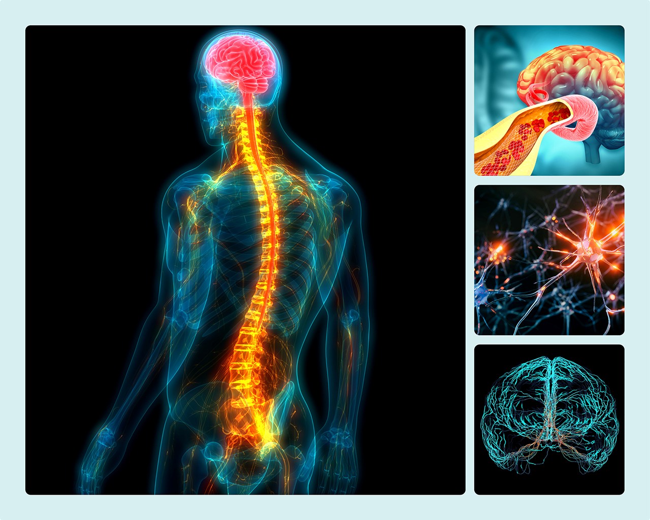 2025 Hoag Neurosciences Symposium Banner